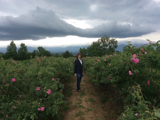 Maig - Juny  2022. La rosa damascena a Bulgària 