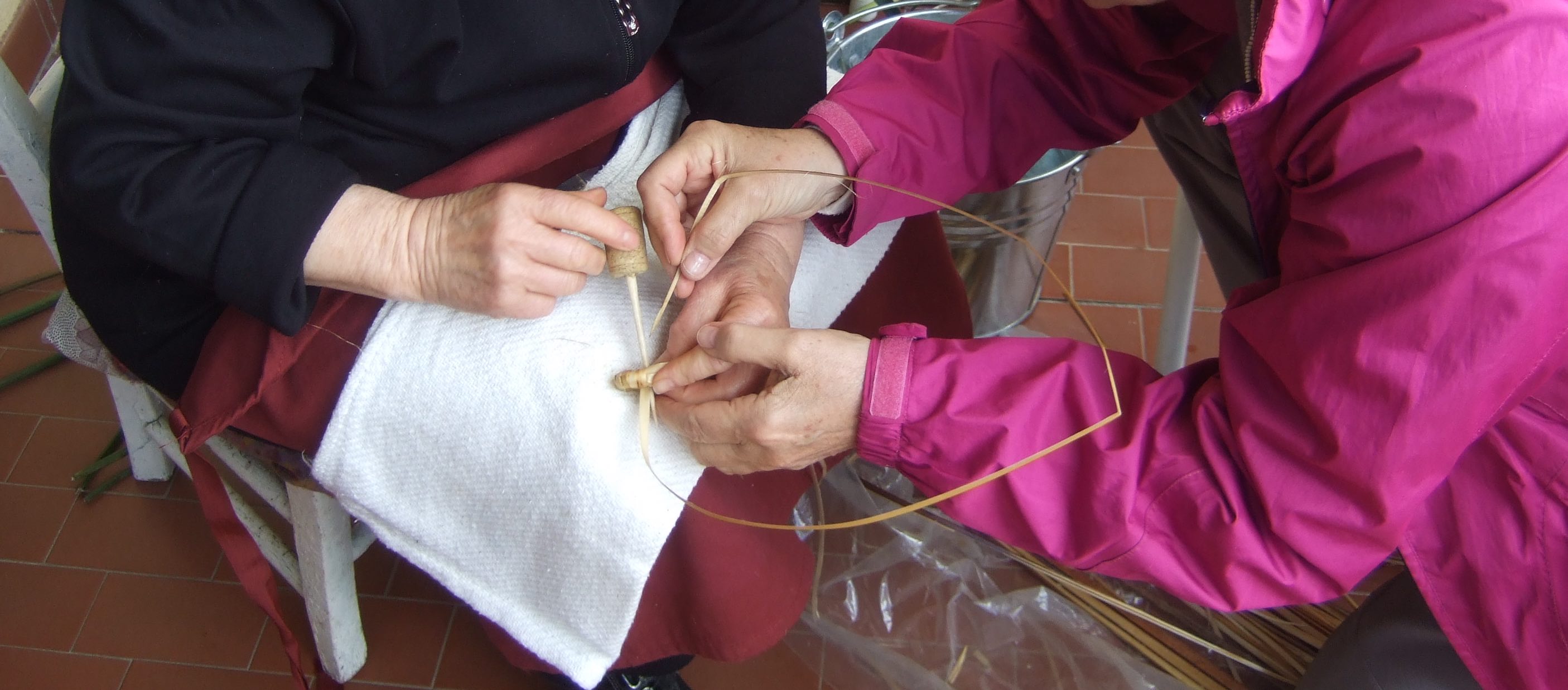 ABRIL 2026 Primavera  en Cerdea Usos medicinales, culinarios y decorativos de las plantas de la isla 