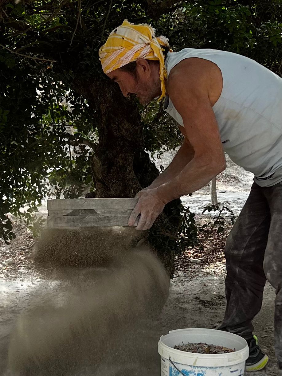 JUNIO-JULIO 2026 Grecia, la almciga de Quios 