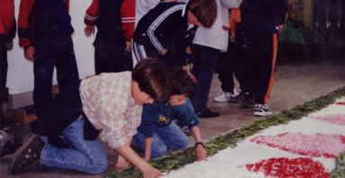 12.- Alfombras de flores