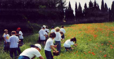 L'ESCOLA DE LES FLORS