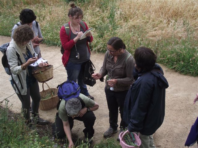 MARZO 2023  Usos medicinales i culinarios de las plantas que tenemos en primavera en nuestro entorno