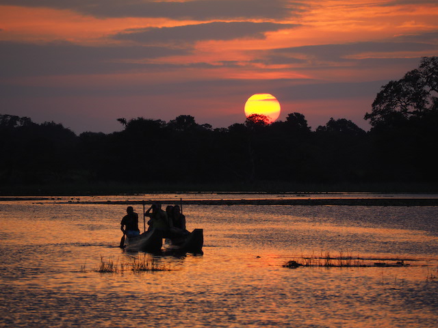 ENERO-FEBRERO 2025   Sri Lanka.  La Isla del t, de las especies y de los nenfares 