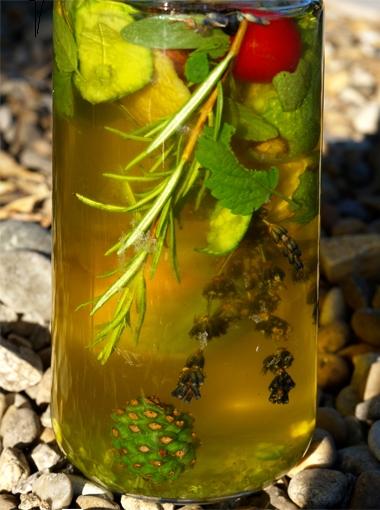 JUNIO 2025 Ratafia y otros licores de verano