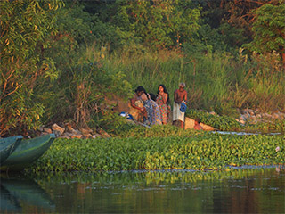 ENERO-FEBRERO 2025   Sri Lanka.  La Isla del t, de las especies y de los nenfares 