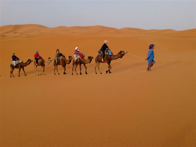  MAYO 2025- Inmersin al mundo de la Rosa Damascena en Marruecos 