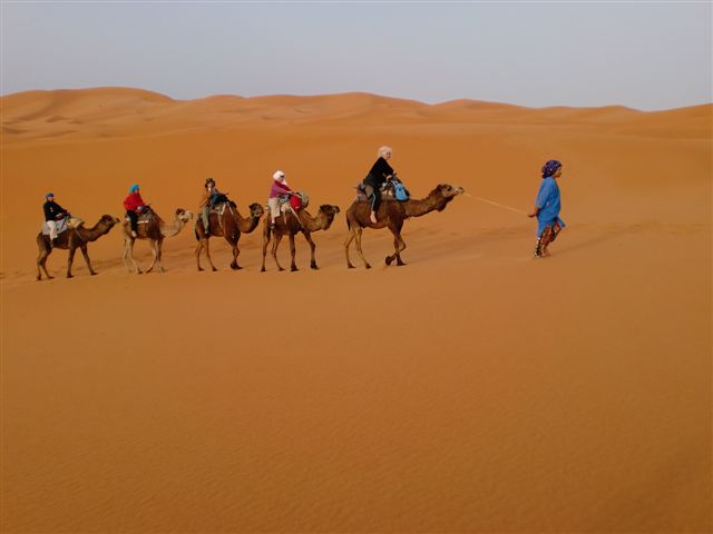  MAYO 2024- Inmersin al mundo de la Rosa Damascena en Marruecos 