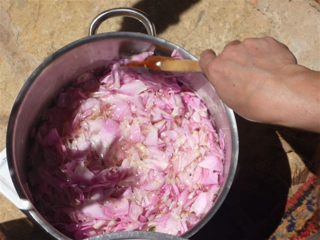  MAYO 2025- Inmersin al mundo de la Rosa Damascena en Marruecos 