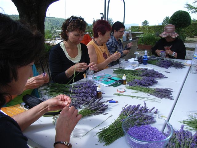 JULIO 2025 Inmersin al mundo de la Lavanda