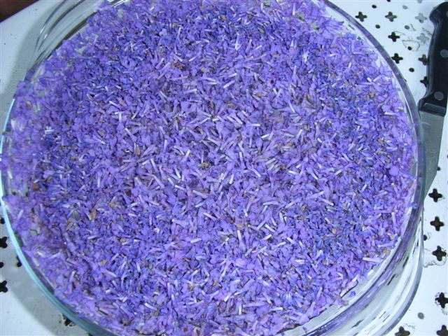 JULIO 2025 Inmersin al mundo de la Lavanda