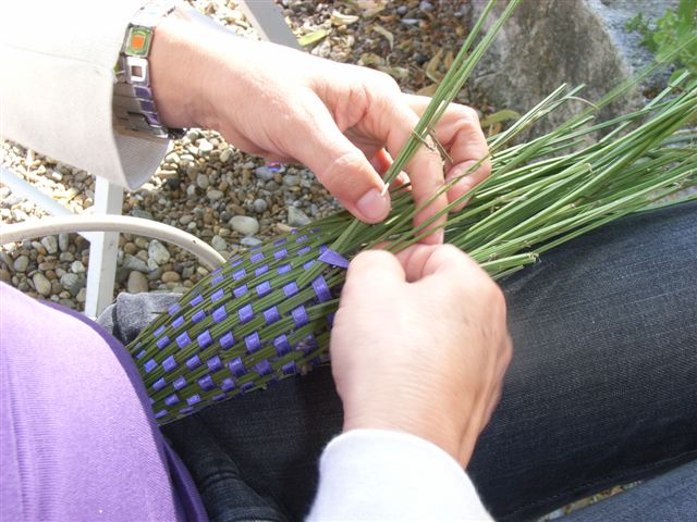 JULIO 2025 Inmersin al mundo de la Lavanda