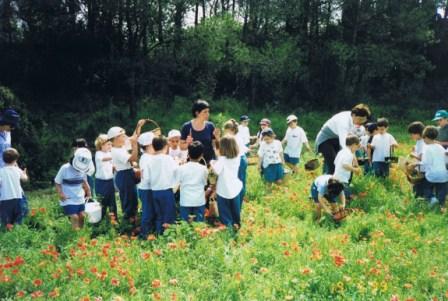 1.-Juguem amb les olors de les plantes 