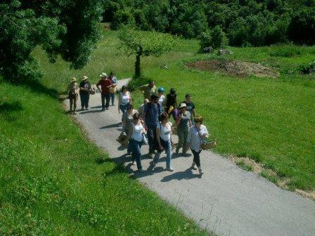 FEBRER 2022 Passeig sensitiu pel bosc. Connexi amb el bosc a traves dels sentits