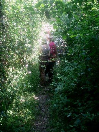 FEBRER 2022 Passeig sensitiu pel bosc. Connexi amb el bosc a traves dels sentits