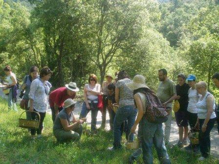 FEBRER 2022 Passeig sensitiu pel bosc. Connexi amb el bosc a traves dels sentits