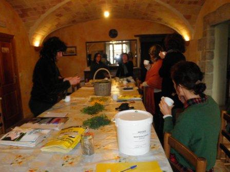 ABRIL 2024 Usos medicinales y  culinarios  de les plantas  de nuestro entorno durante la primavera 