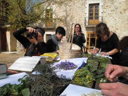 ABRIL 2025 - Usos medicinals i culinaris de les plantes del nostre entorn 